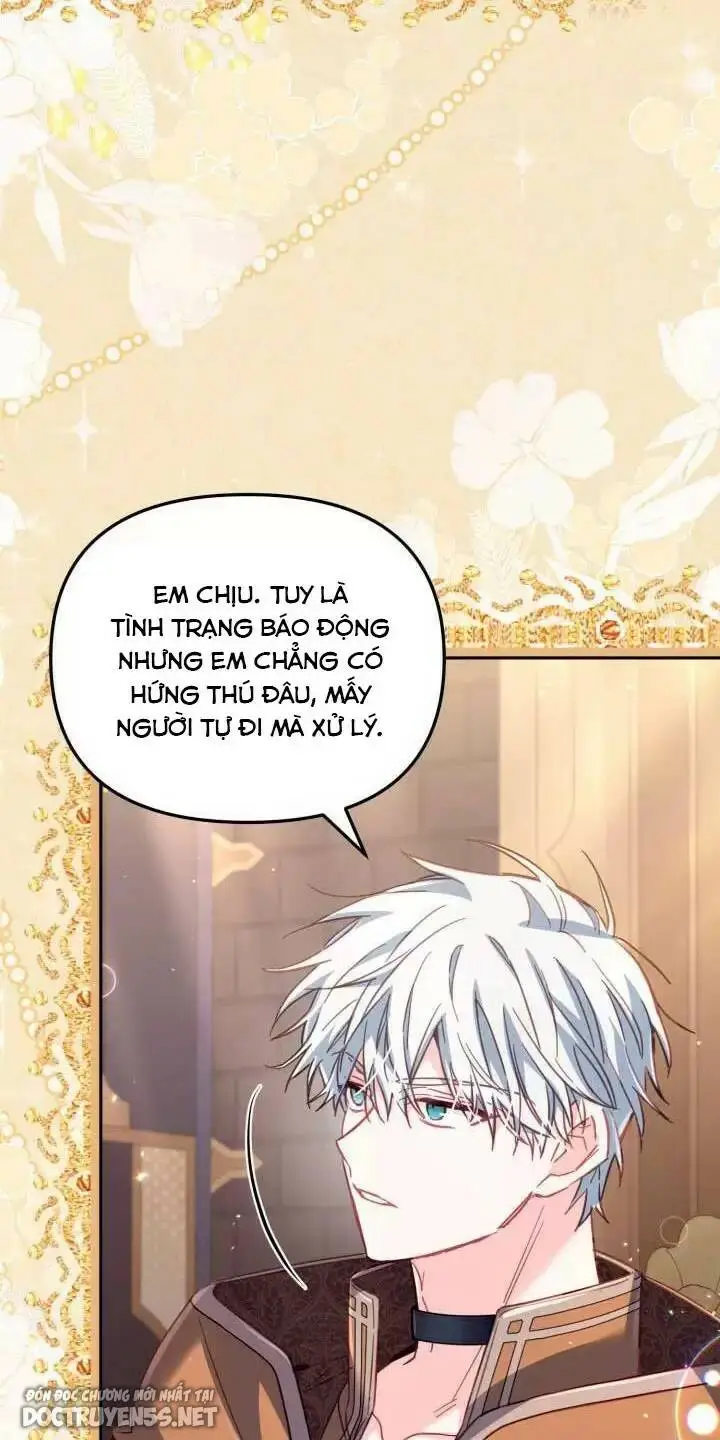 Chapter 29