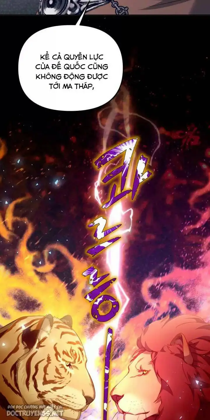 Chapter 29