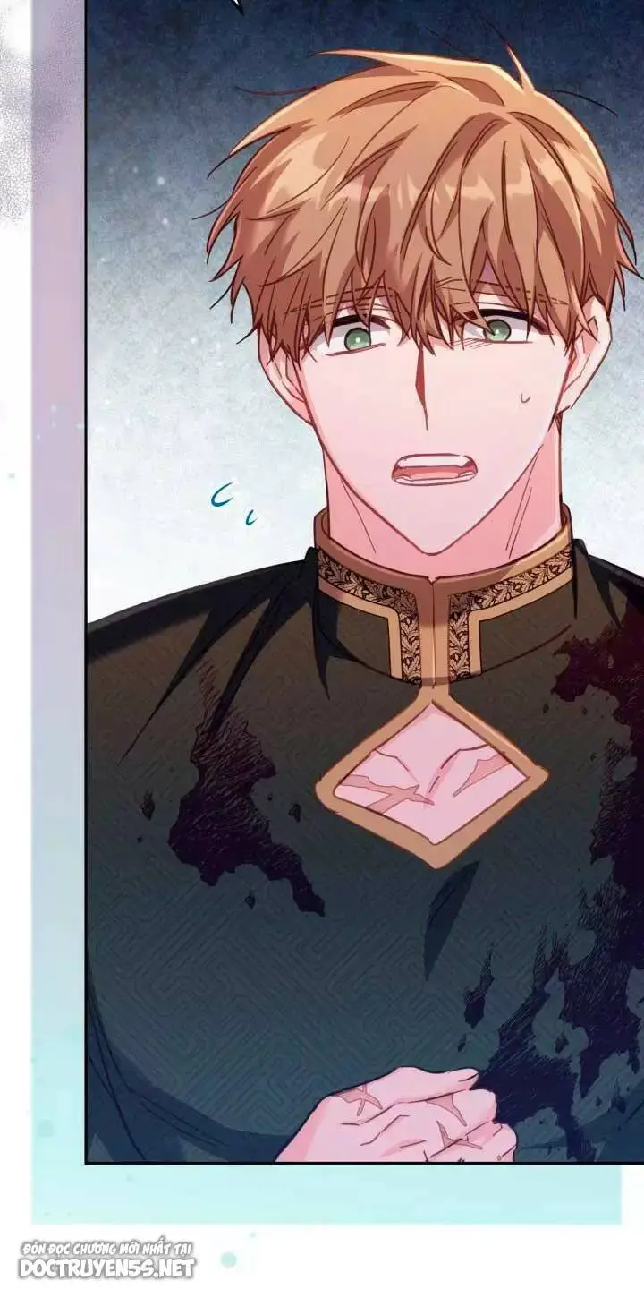 Chapter 29