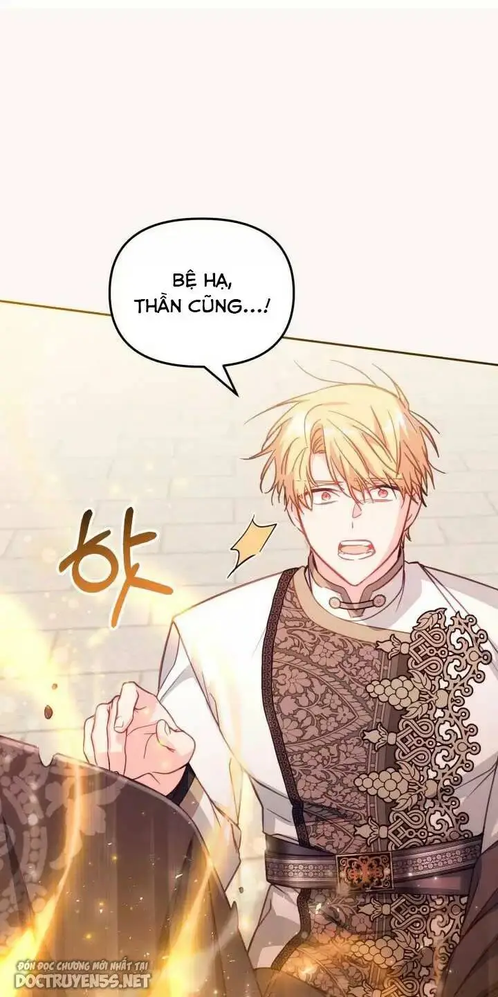 Chapter 29