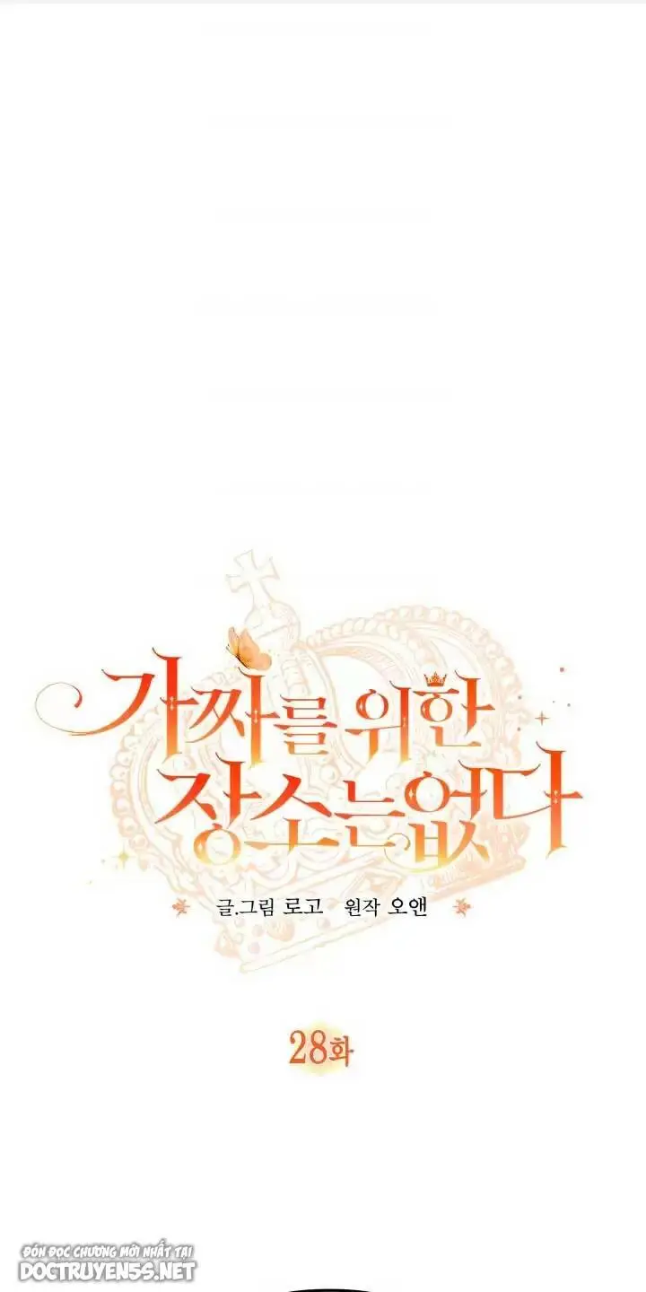 Chapter 28