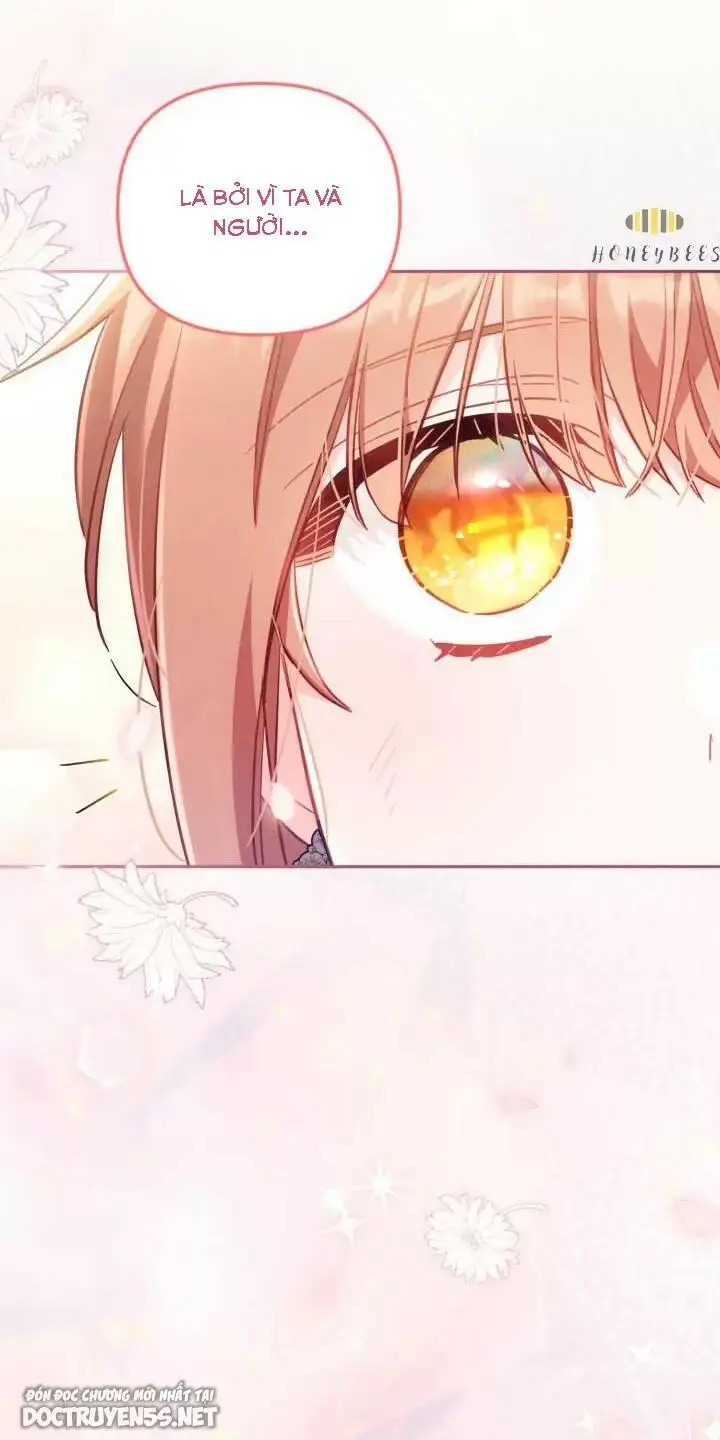 Chapter 28