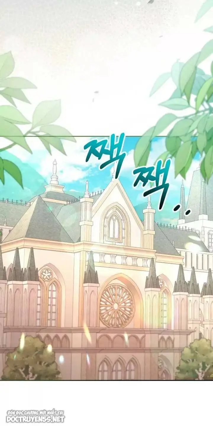 Chapter 28