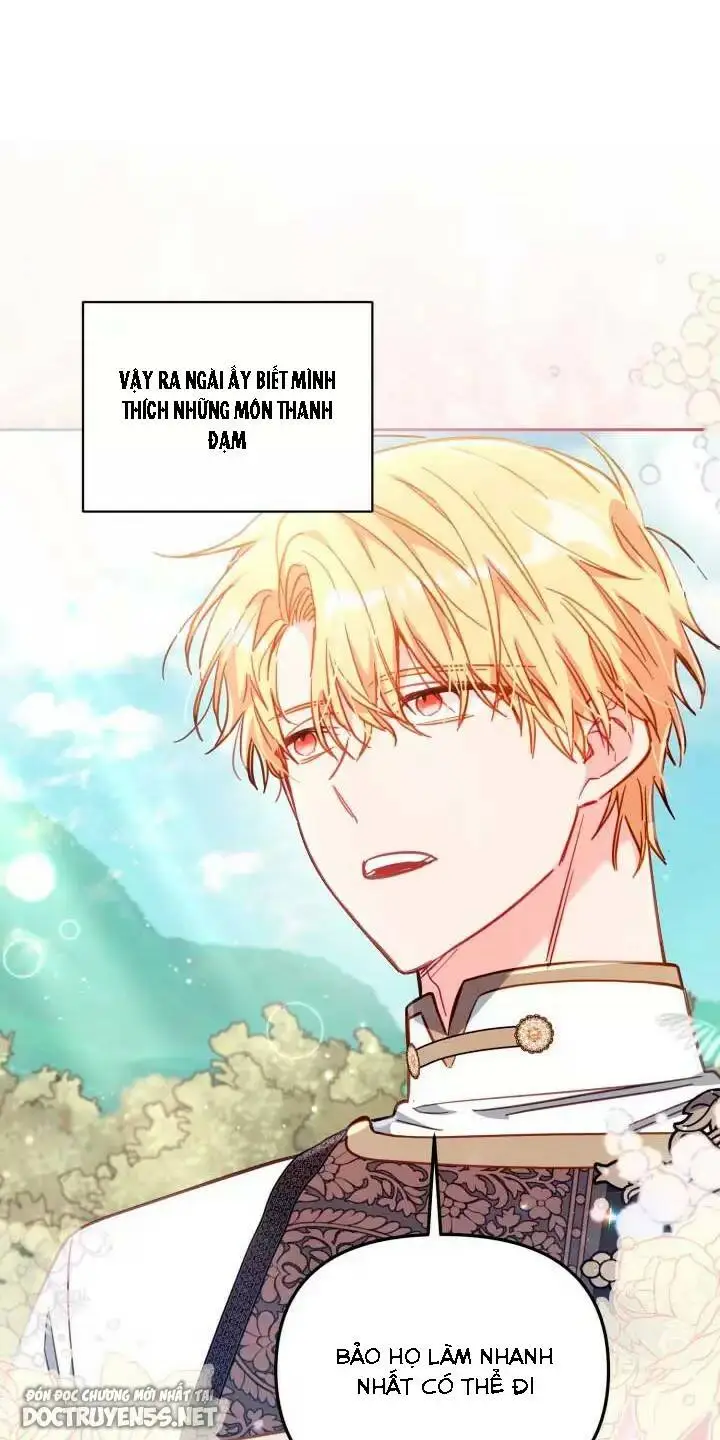 Chapter 28