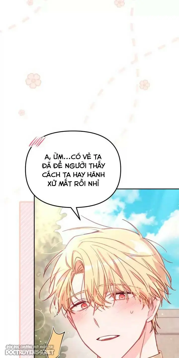 Chapter 28