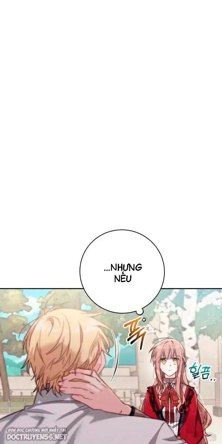 Chapter 28