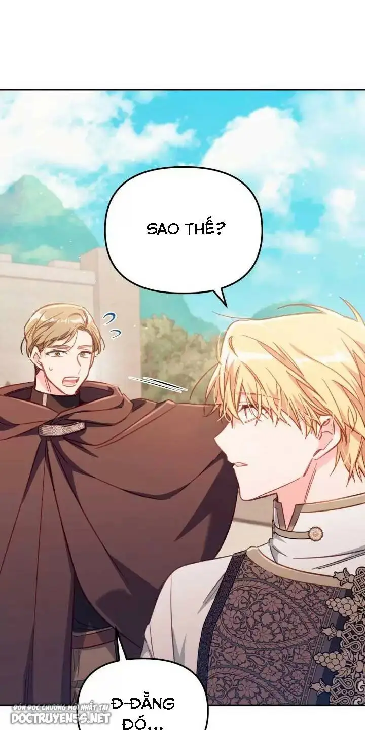 Chapter 28