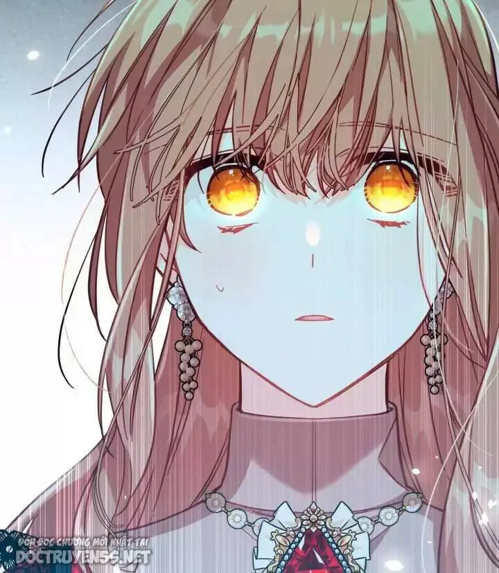 Chapter 28