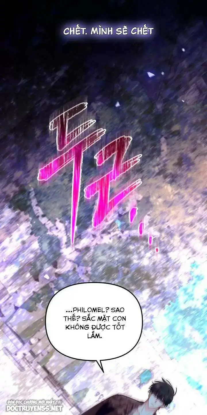 Chapter 28