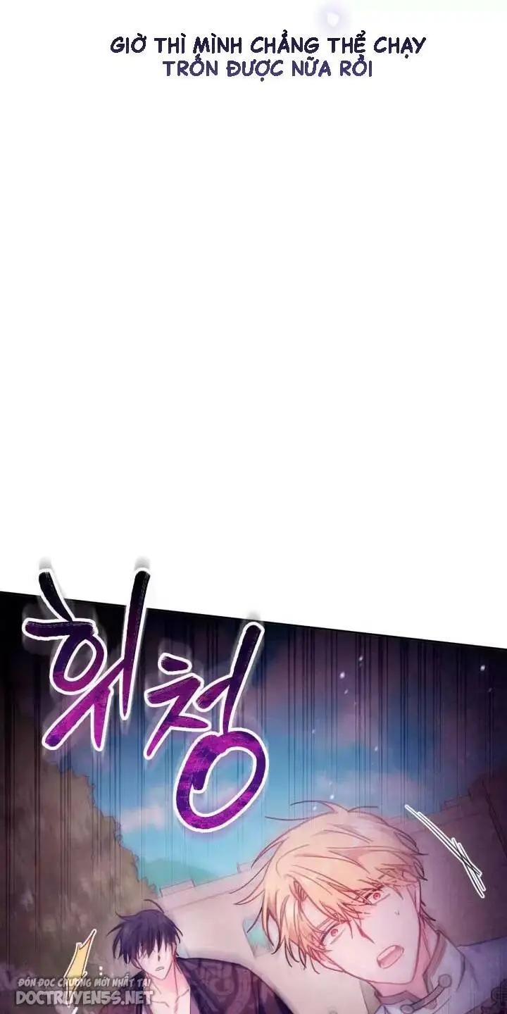 Chapter 28