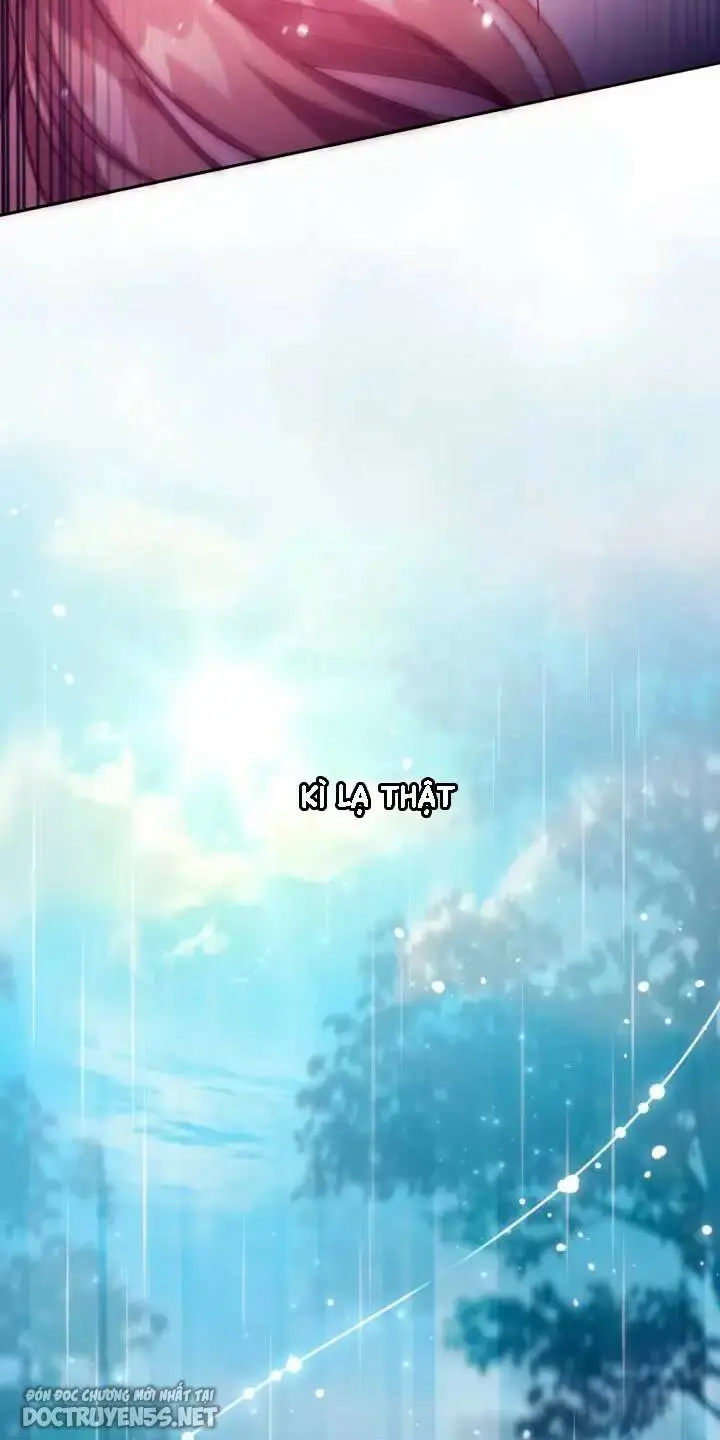 Chapter 28
