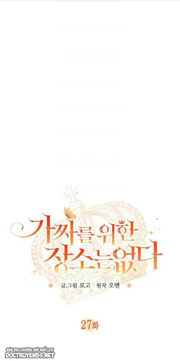 Chapter 27