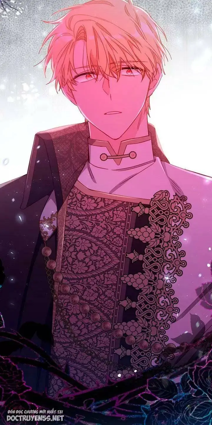 Chapter 26