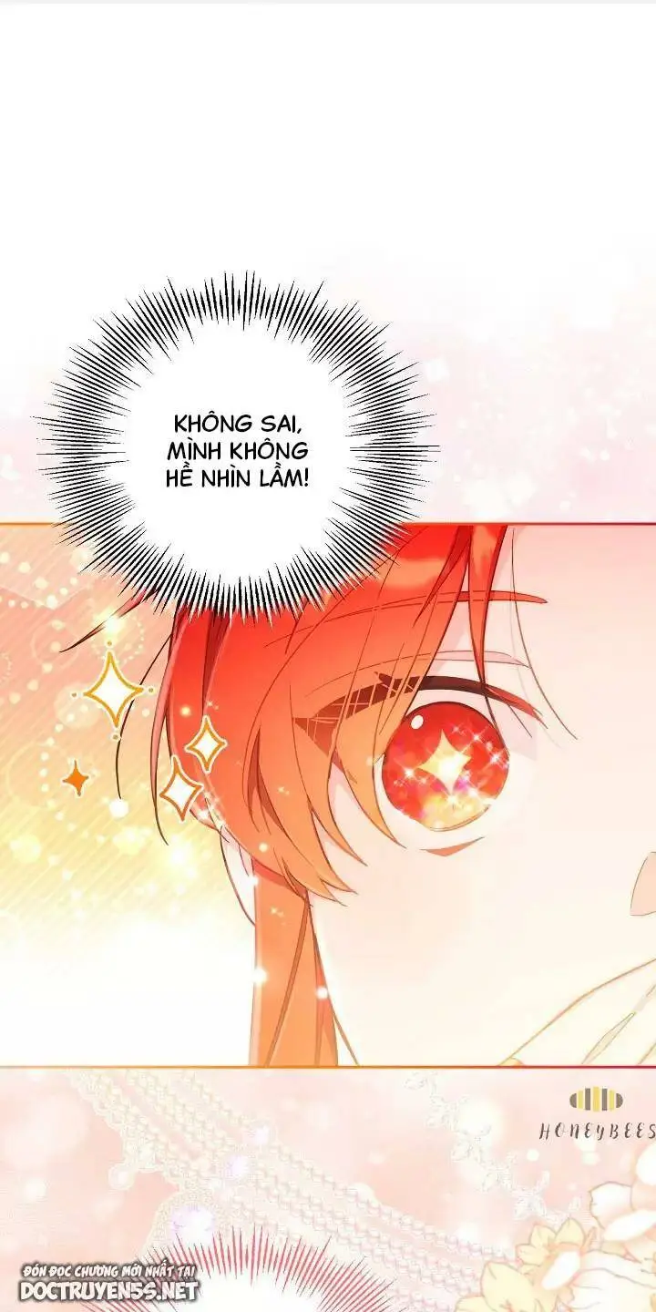 Chapter 26