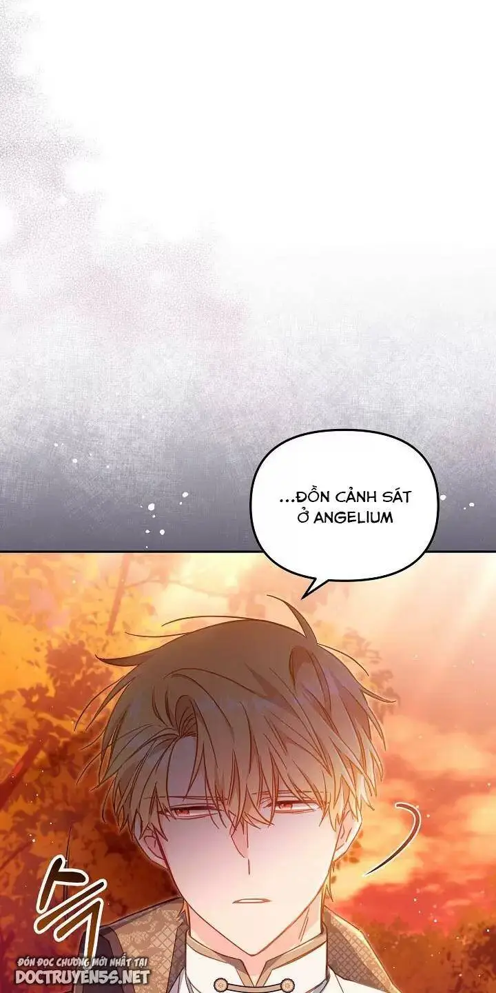 Chapter 26