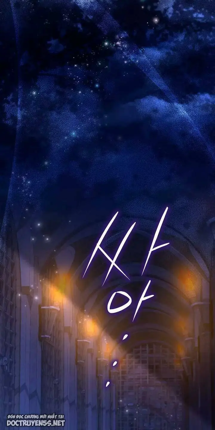 Chapter 26