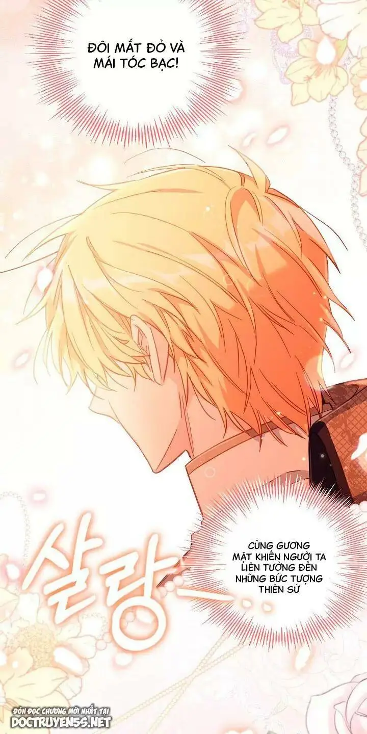 Chapter 26