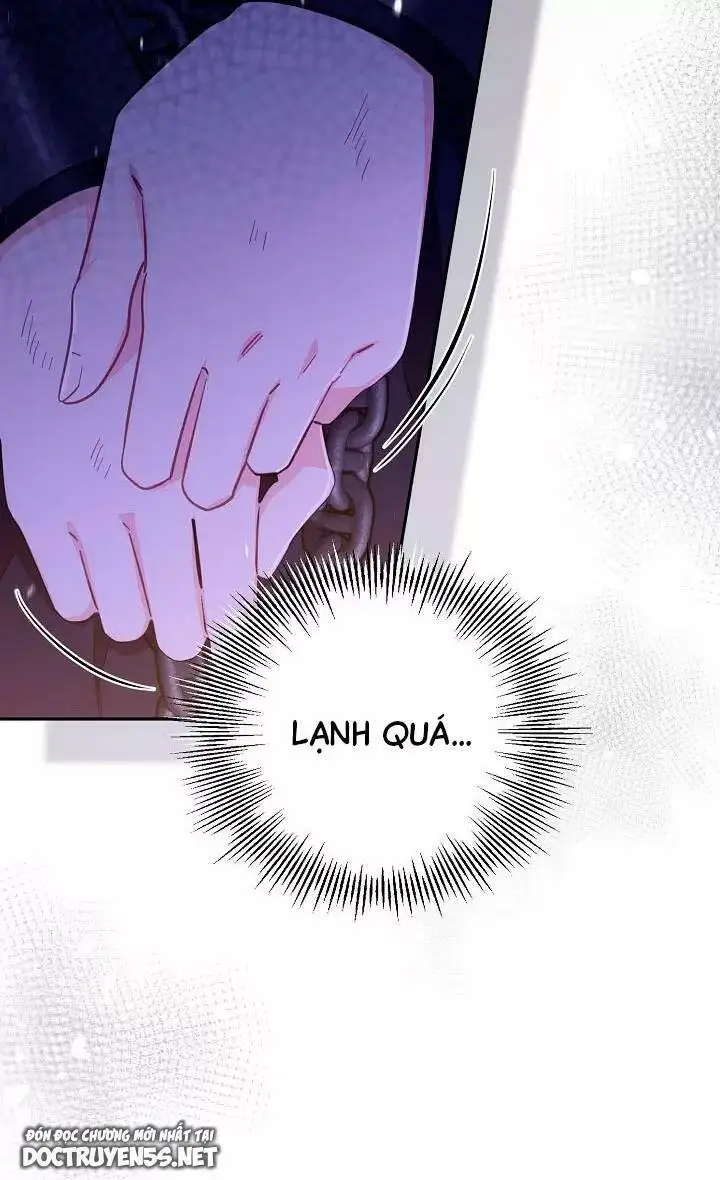 Chapter 26
