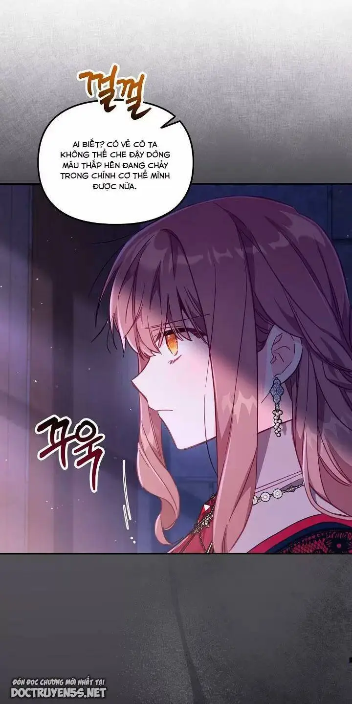 Chapter 26