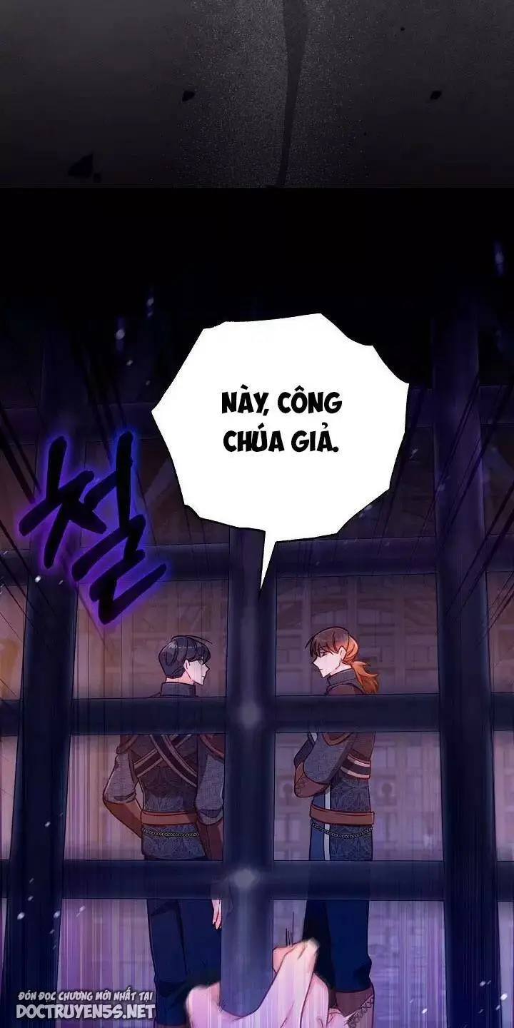 Chapter 26