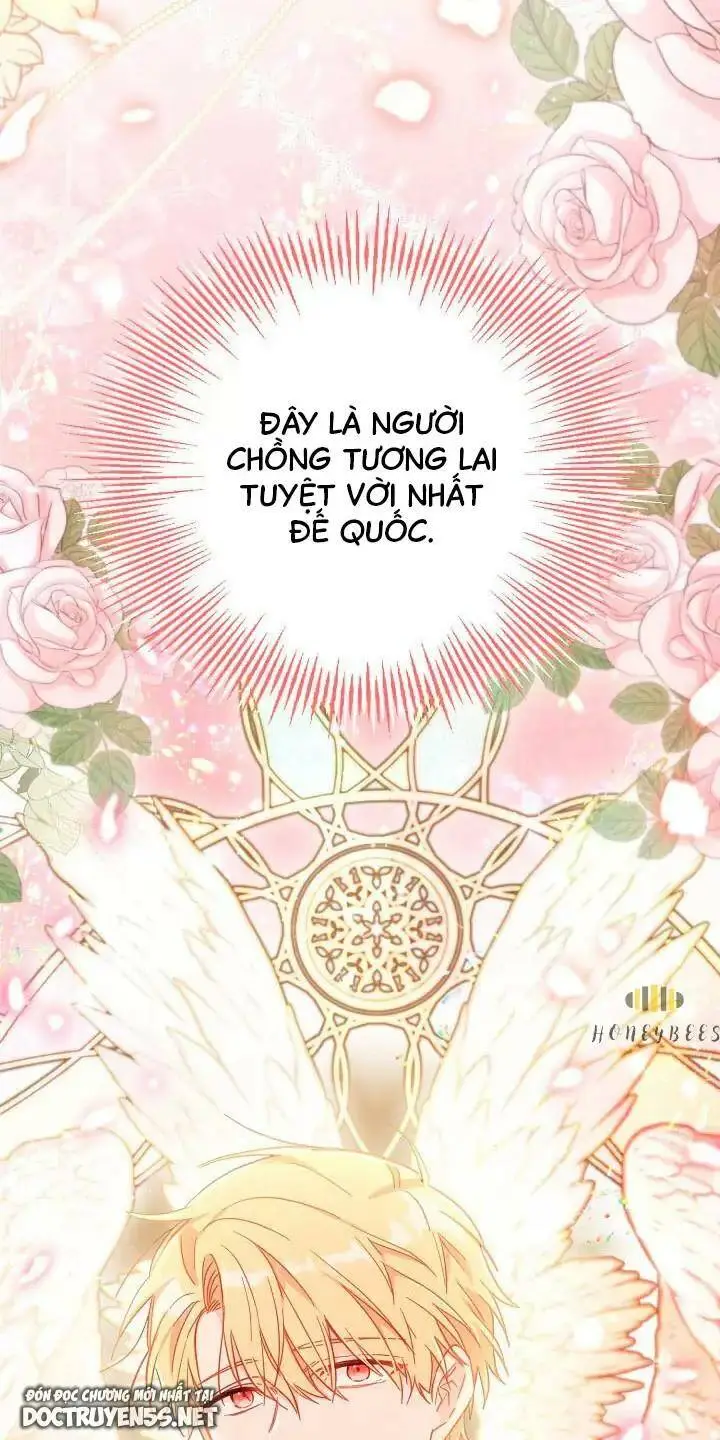 Chapter 26