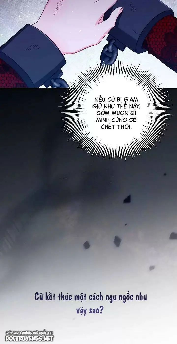 Chapter 26