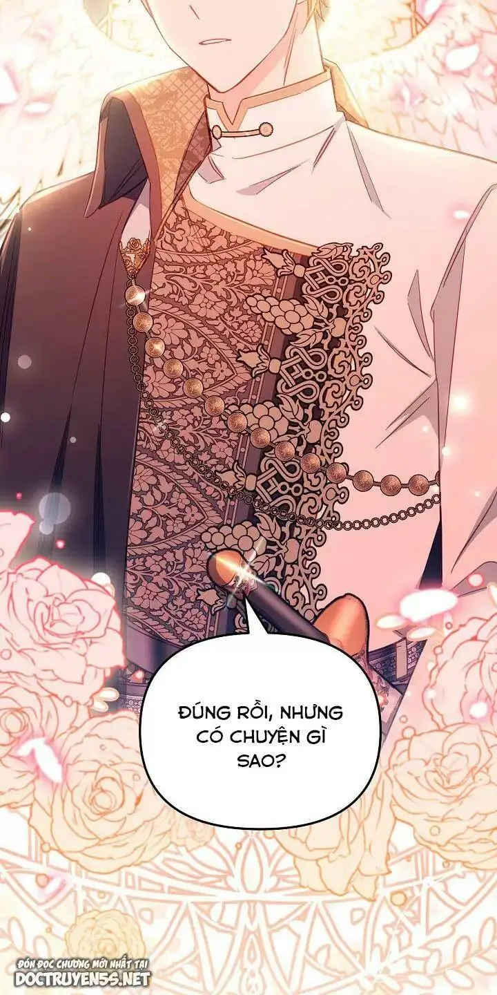 Chapter 26