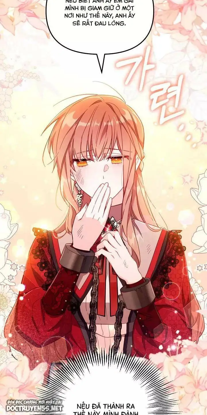 Chapter 26