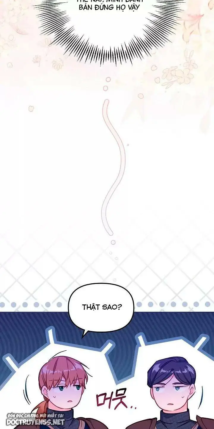 Chapter 26