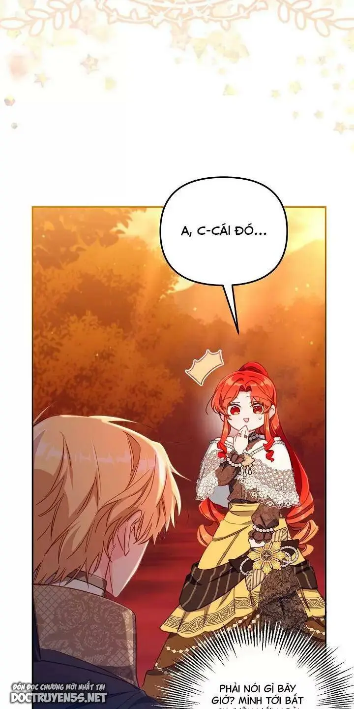 Chapter 26