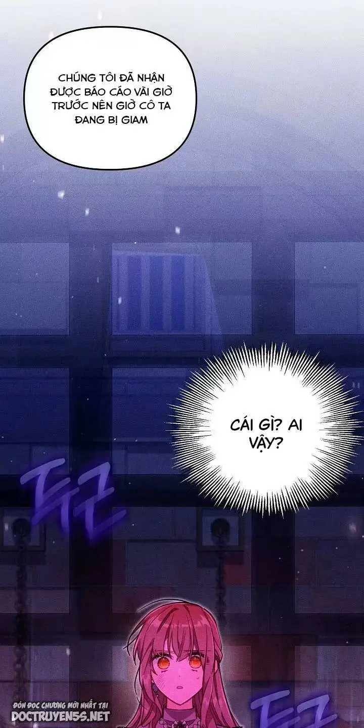 Chapter 26