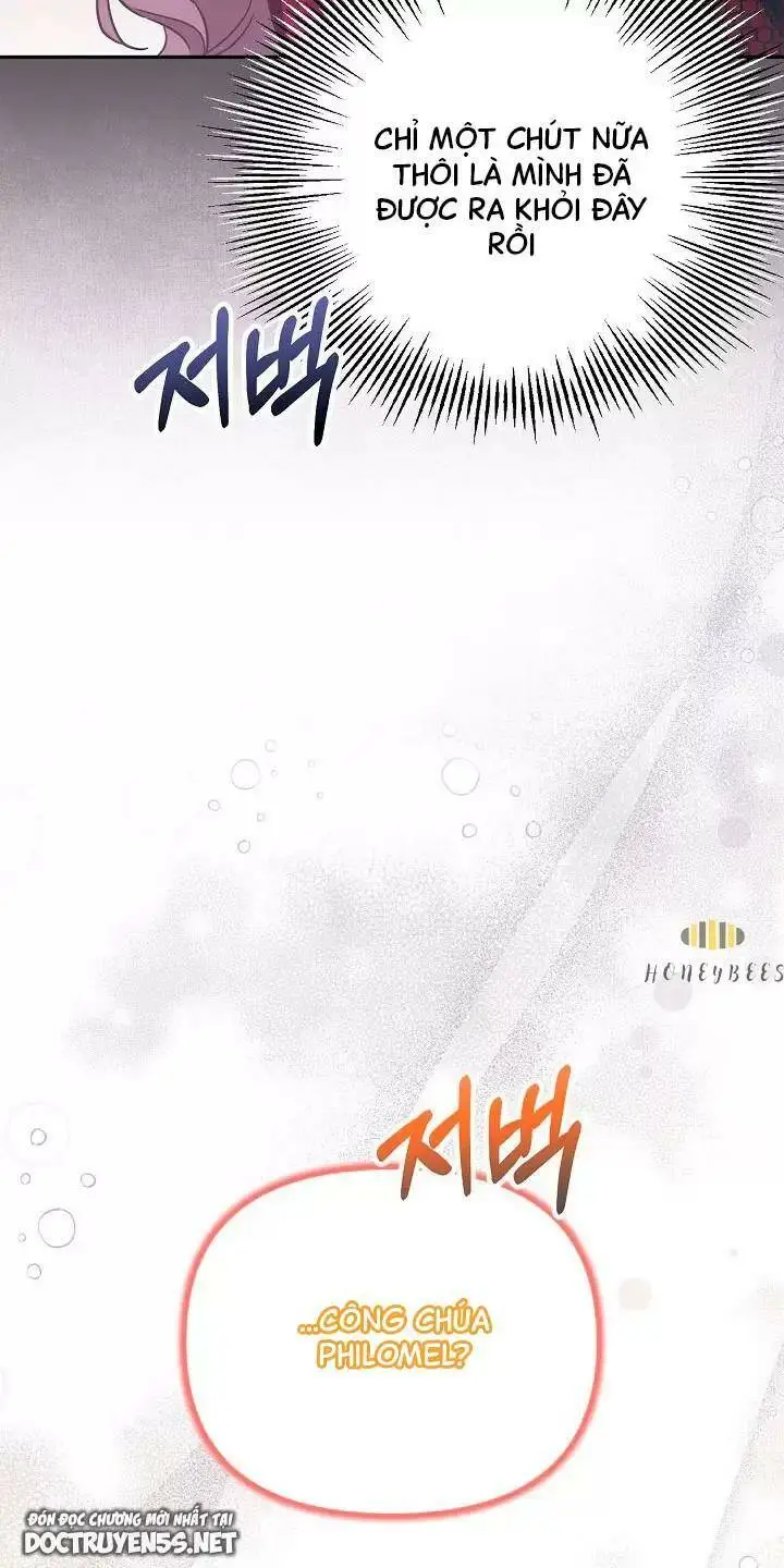 Chapter 26