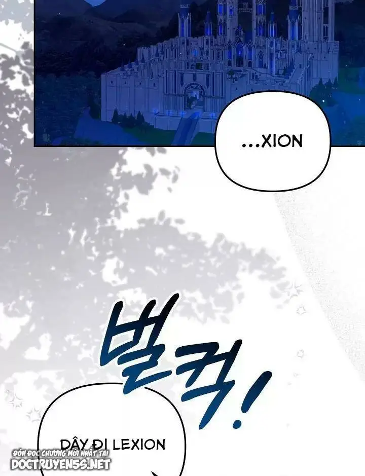 Chapter 26