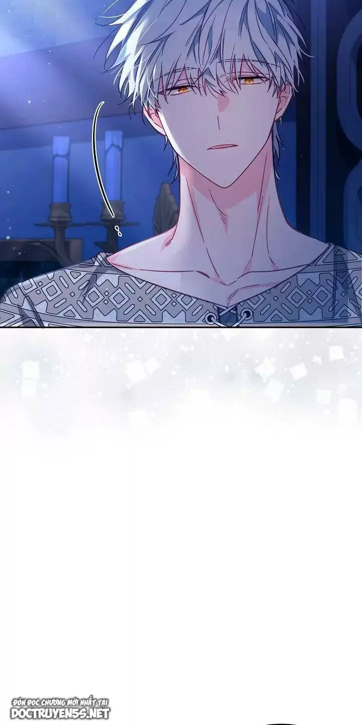 Chapter 26