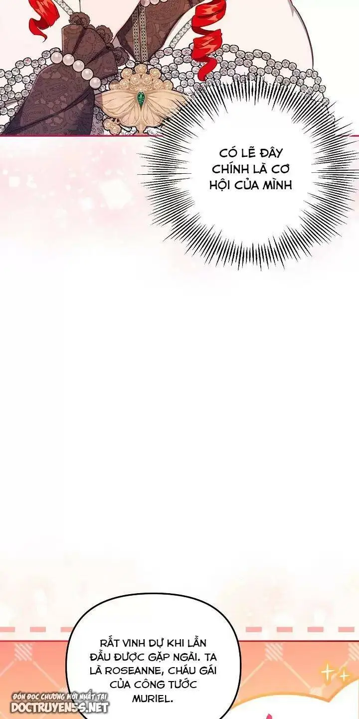 Chapter 26