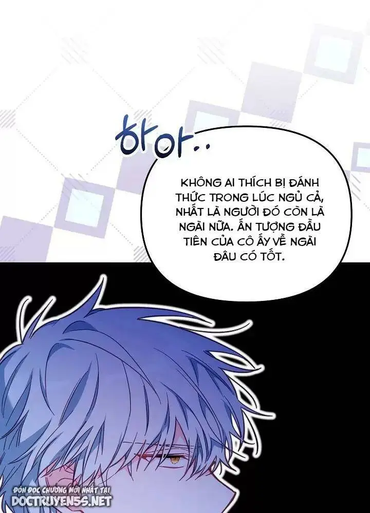Chapter 26