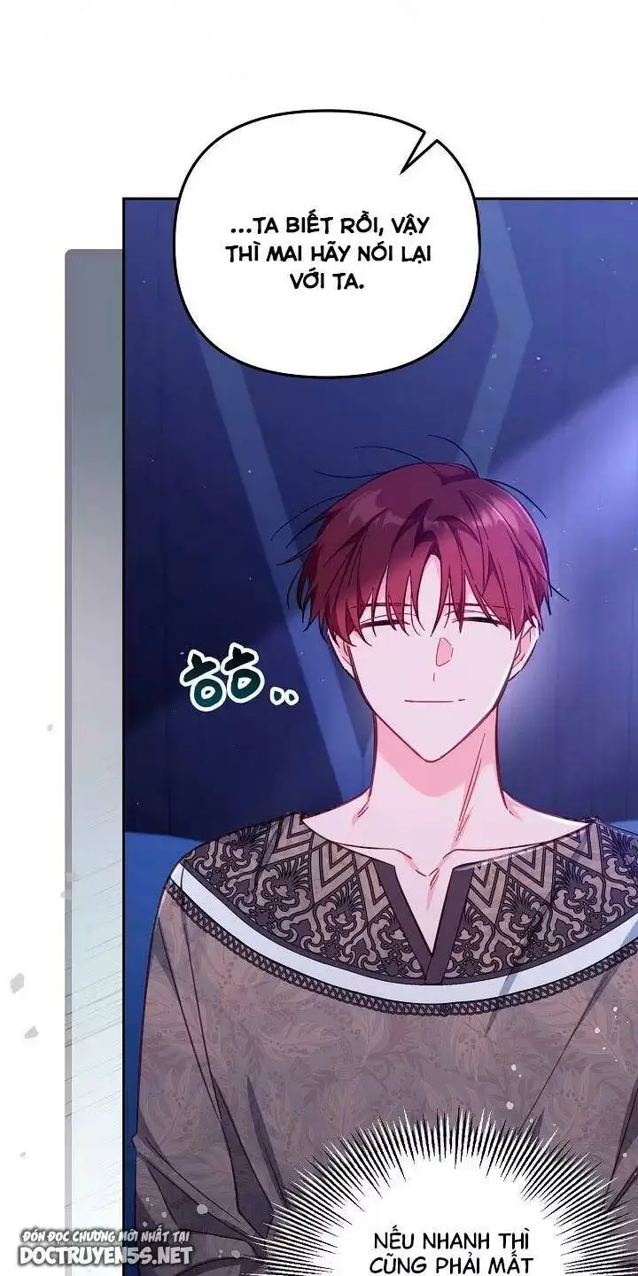 Chapter 26