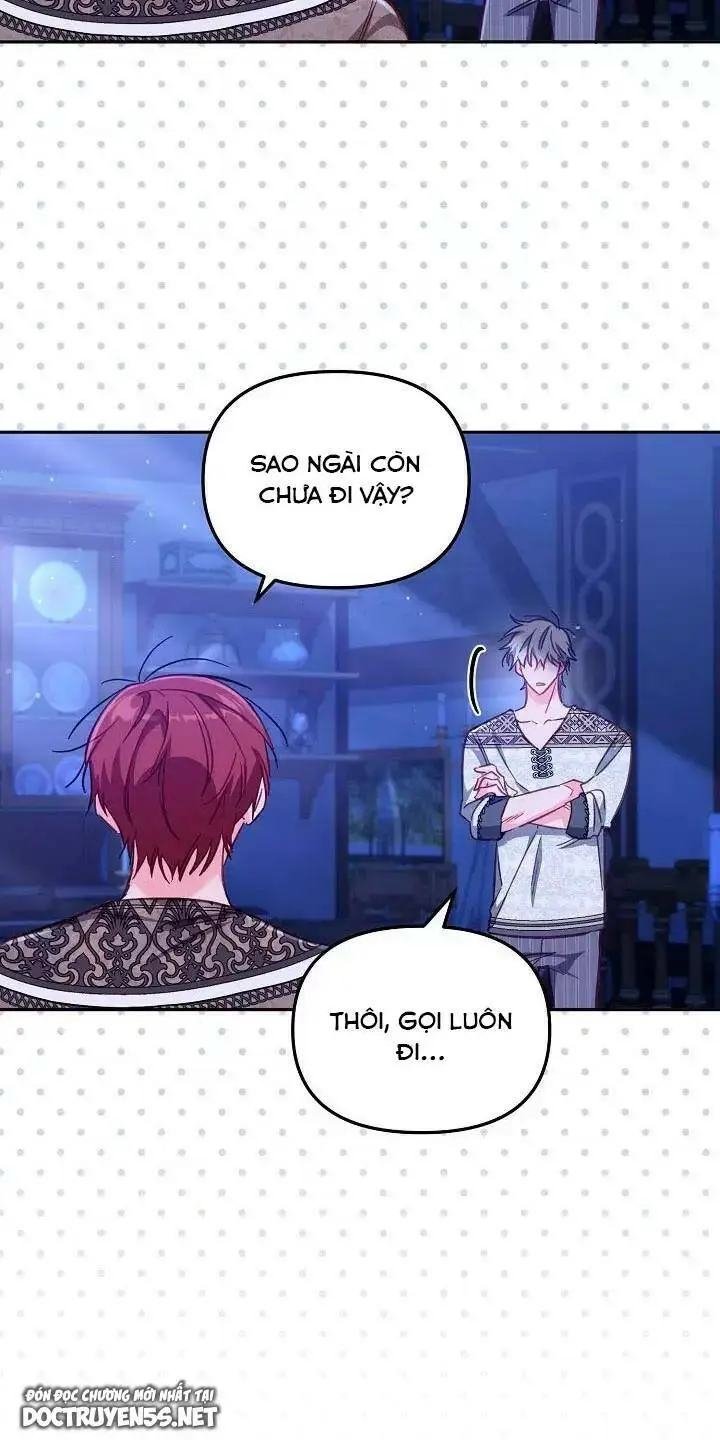 Chapter 26