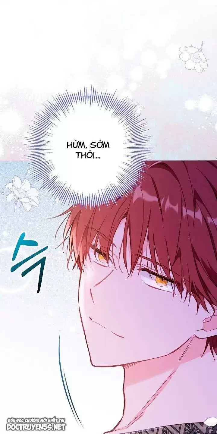 Chapter 26