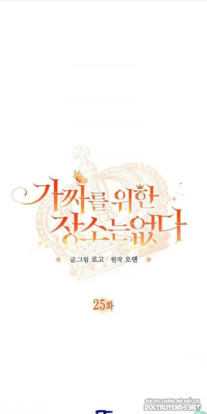 Chapter 25