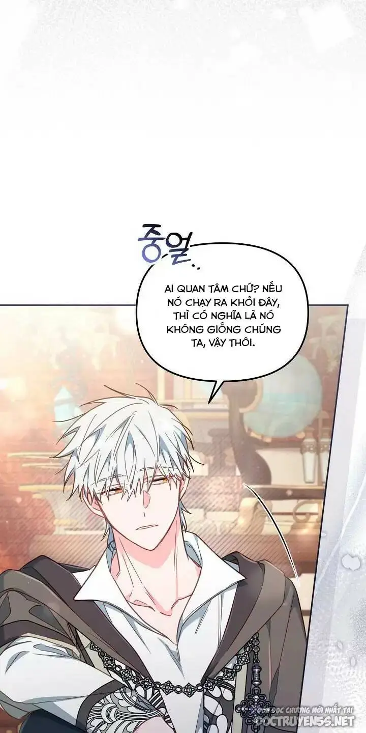 Chapter 25