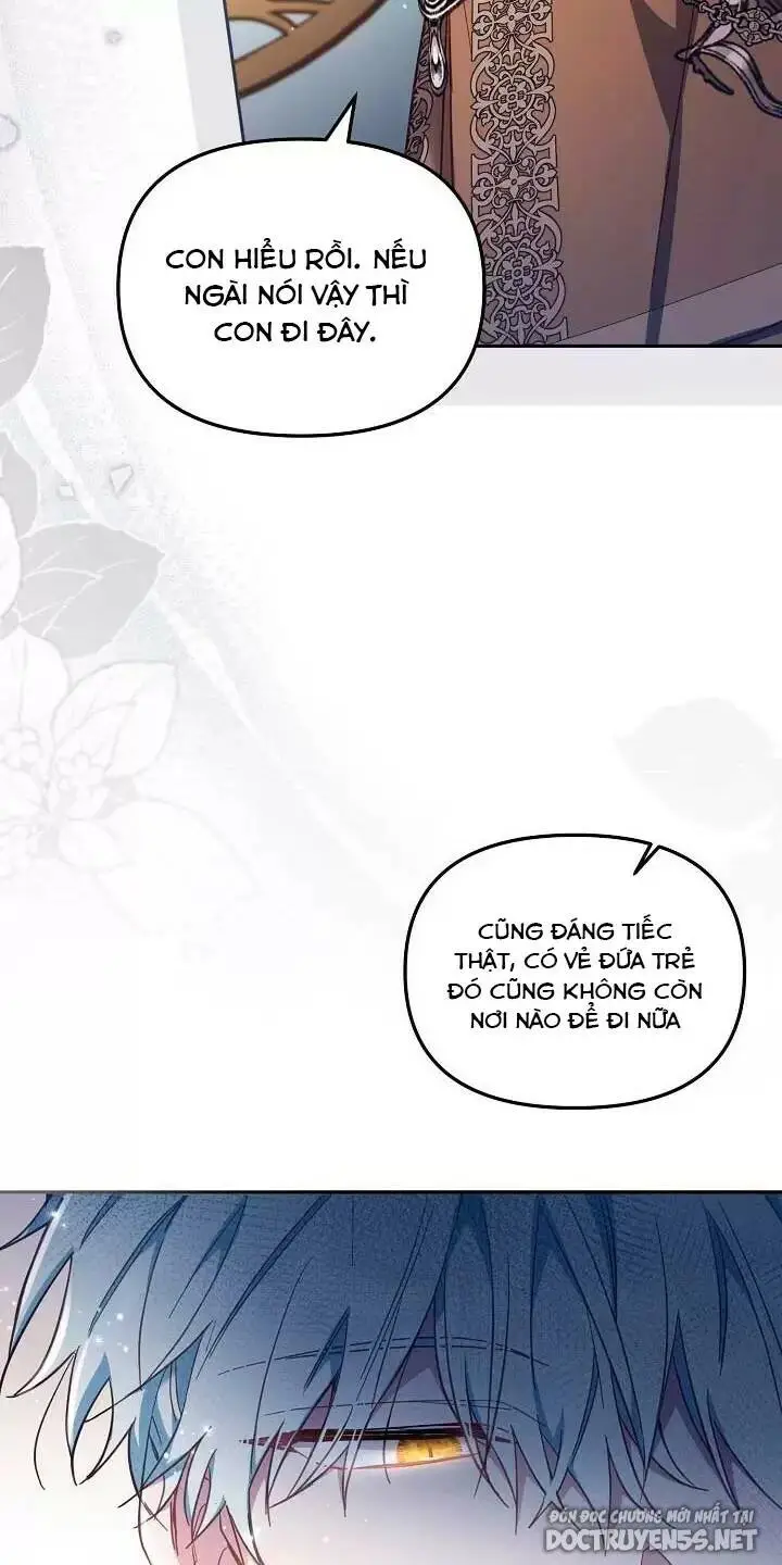 Chapter 25