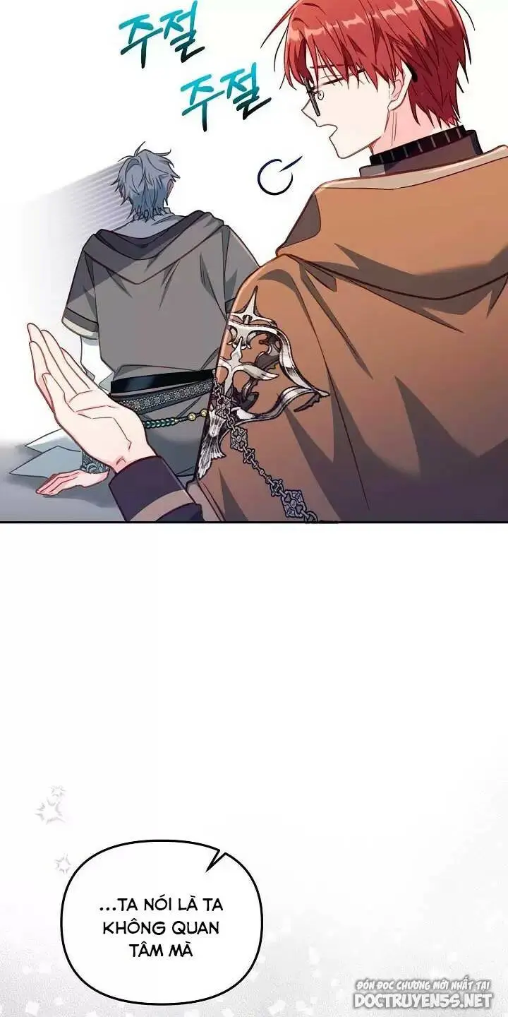 Chapter 25
