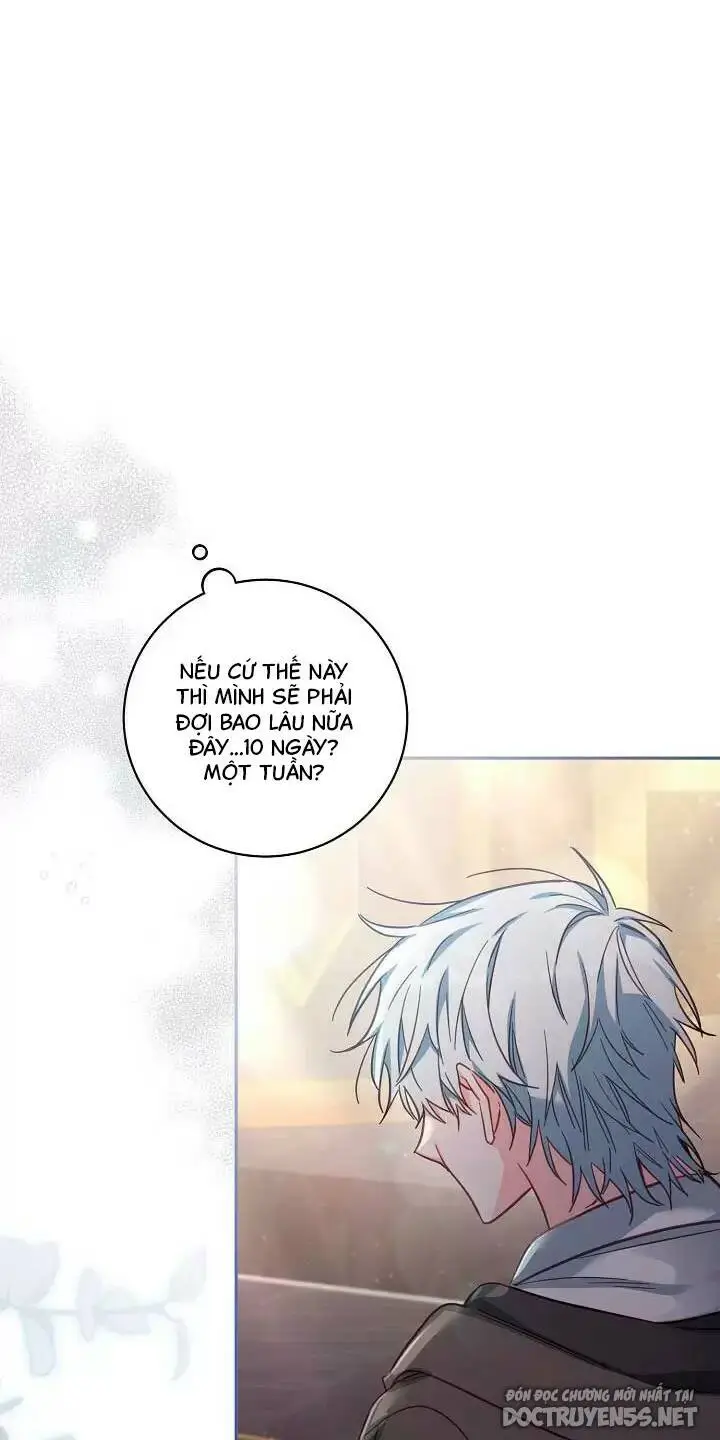 Chapter 25