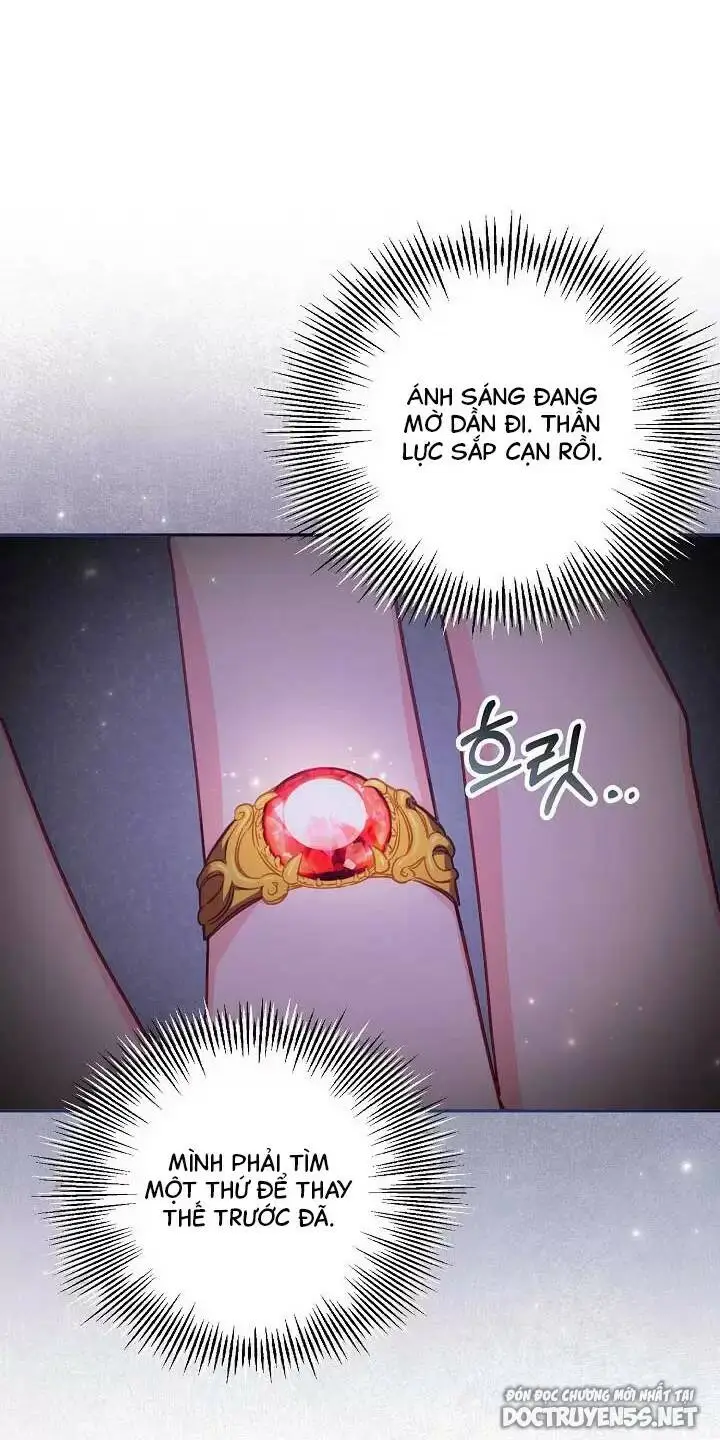 Chapter 25