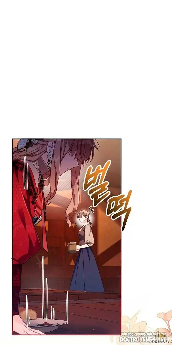 Chapter 25