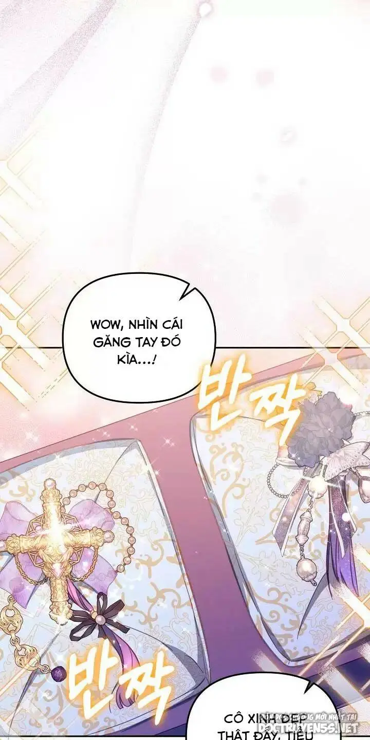 Chapter 25