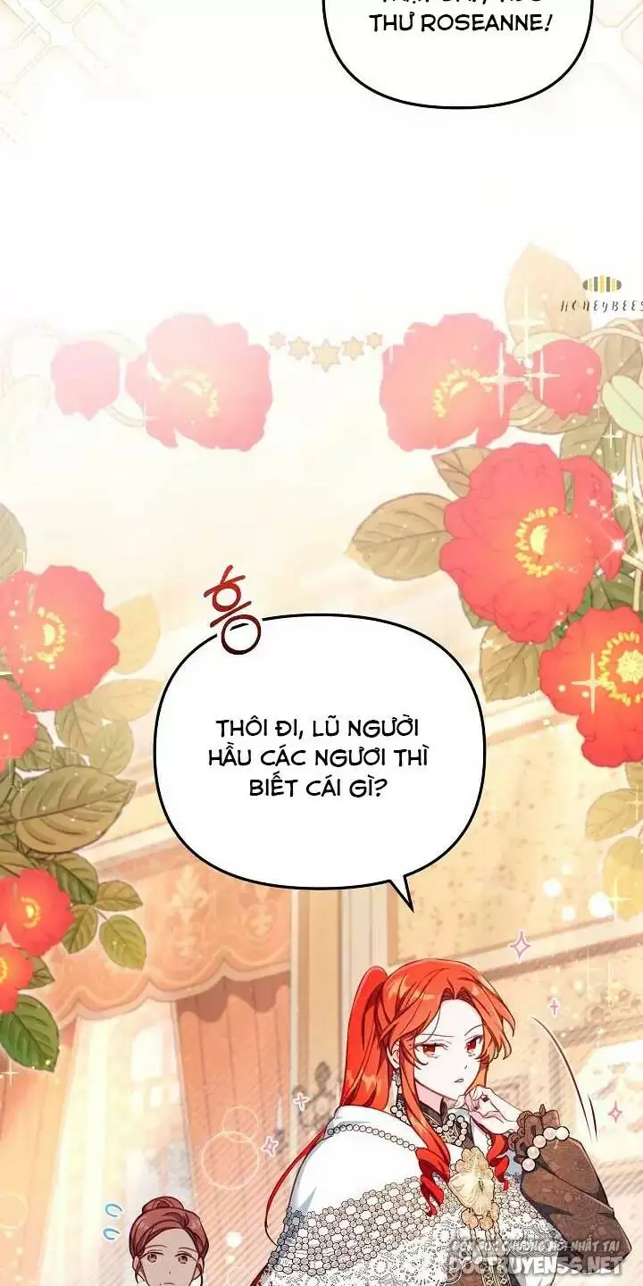 Chapter 25