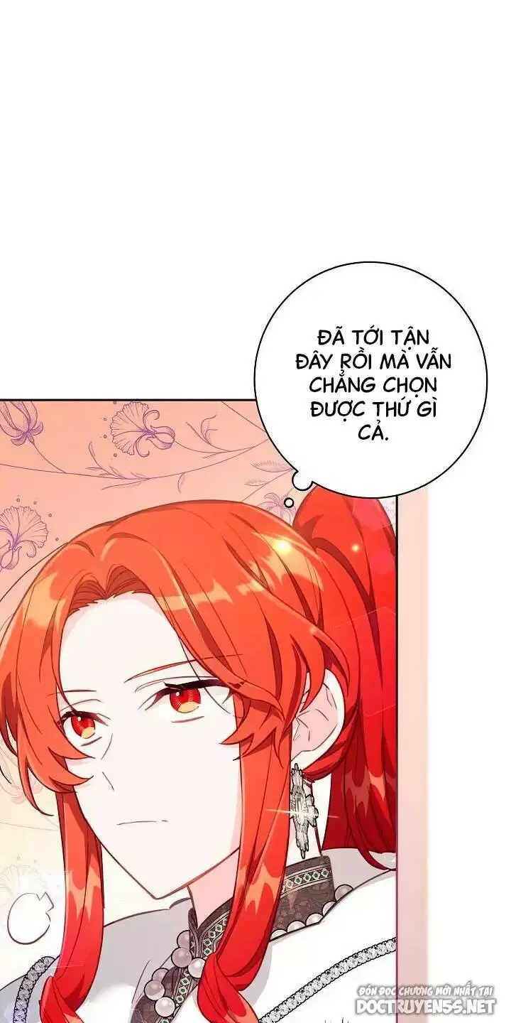 Chapter 25