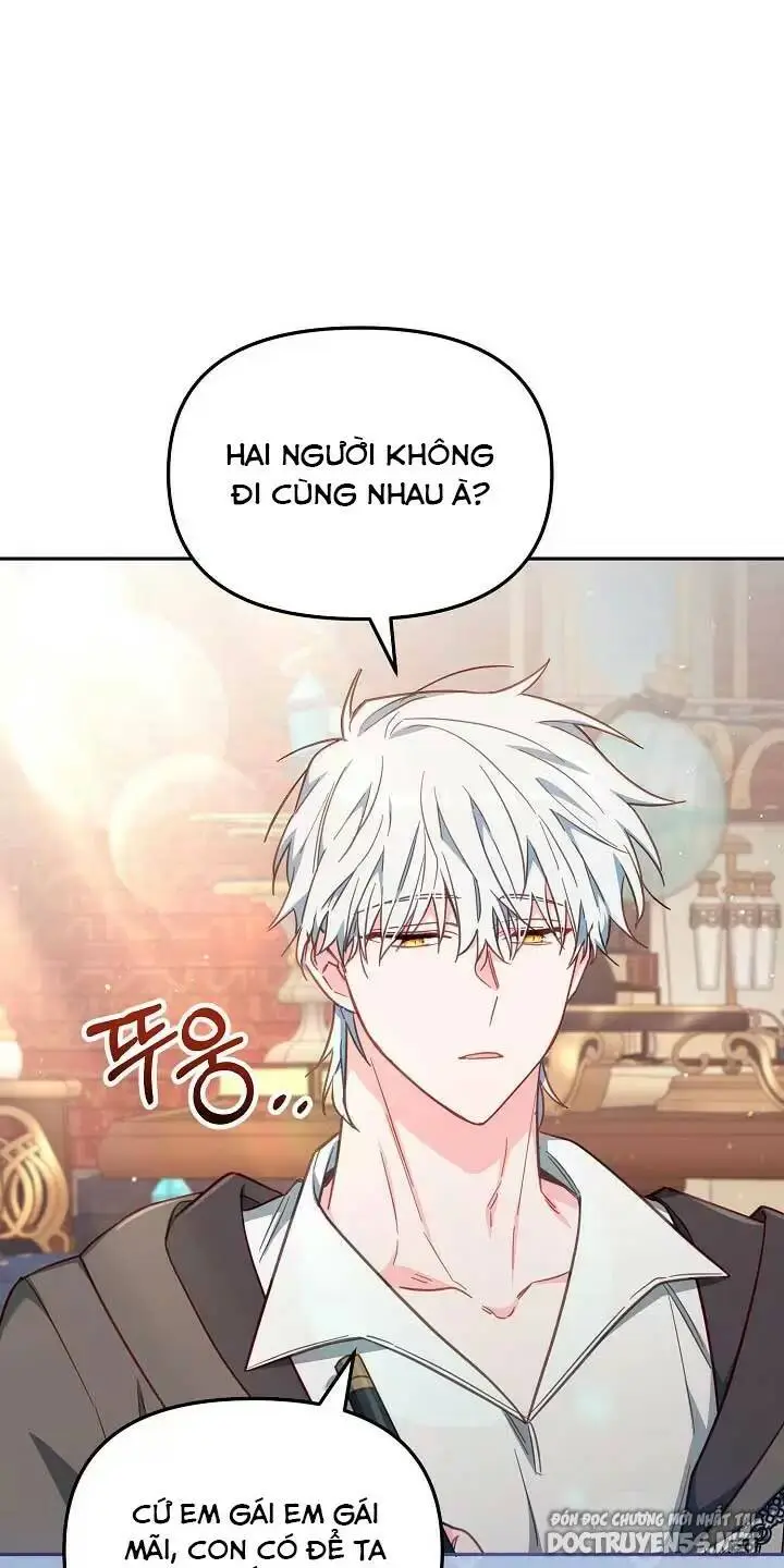 Chapter 25